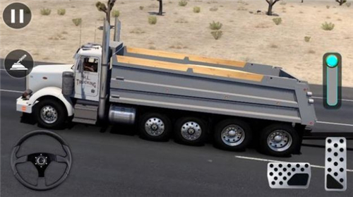 自卸货车模拟器(Dump Truck Simulator 3D)图3