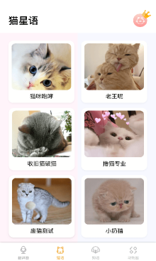 猫猫语翻译图3