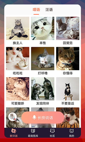 猫语翻译器图1